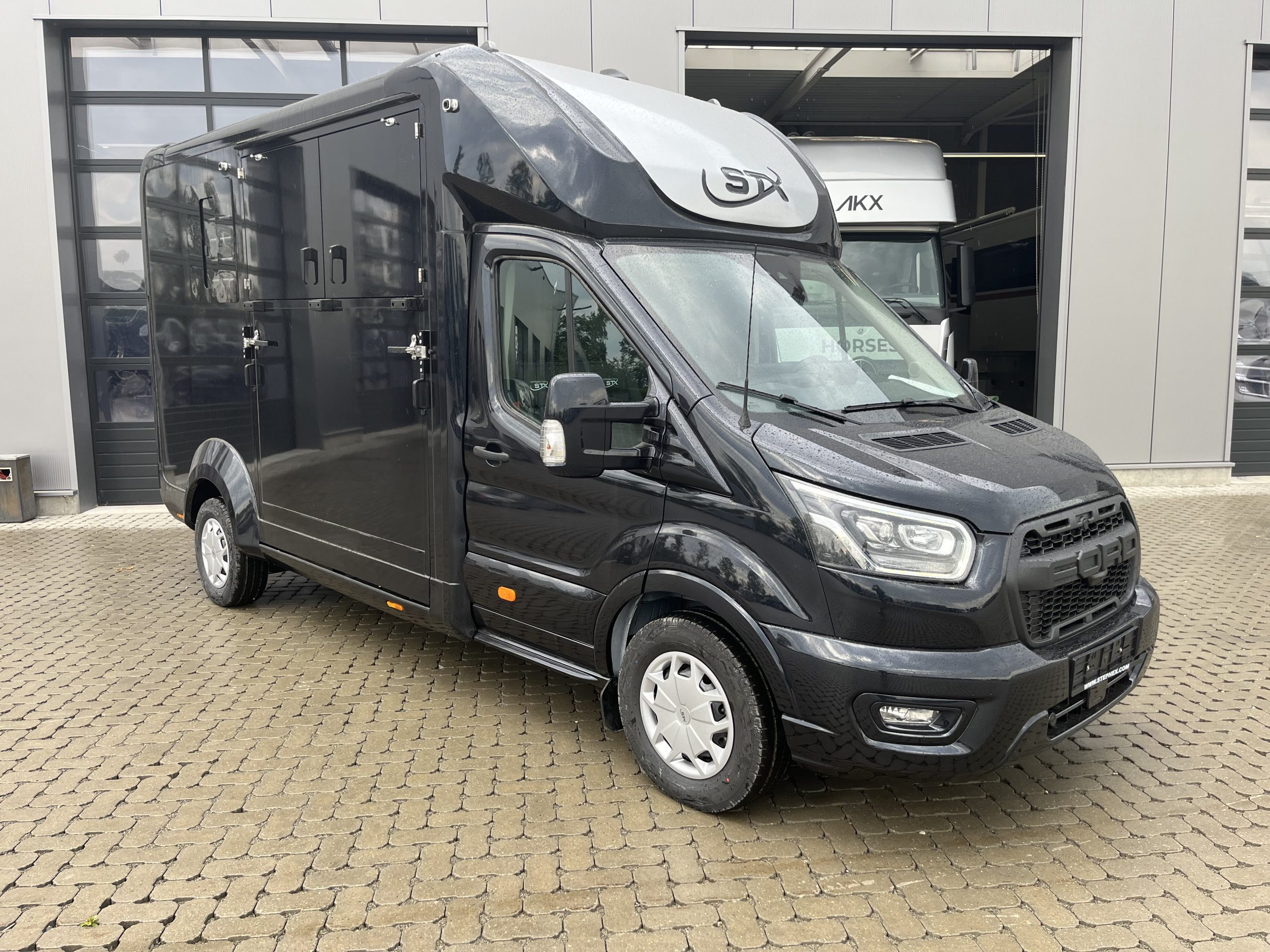 STX 2 HORSES FORD Transit 160 hp Stephex Horsetrucks