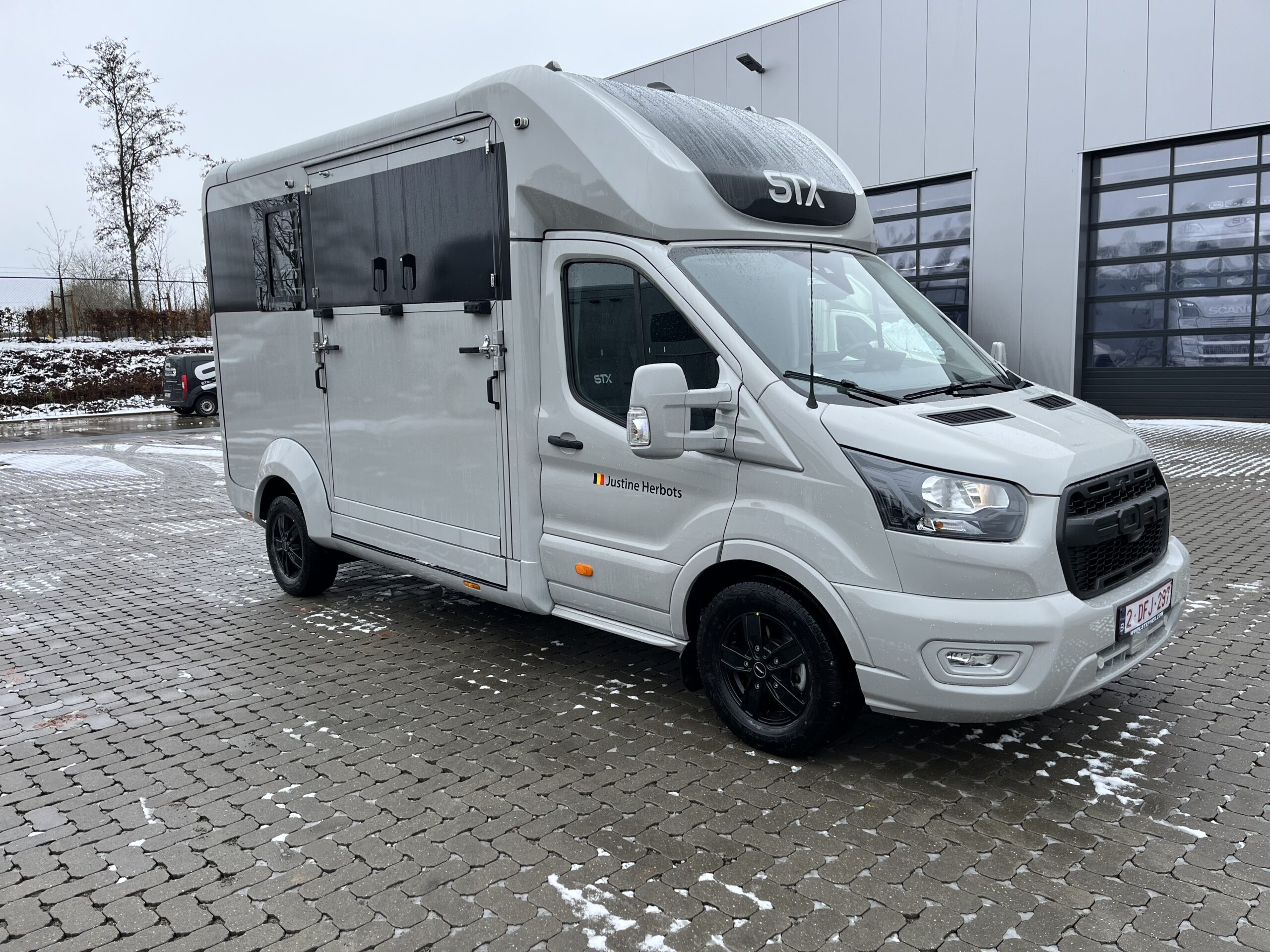 STX 2 HORSES FORD Transit 160 Stephex Horsetrucks