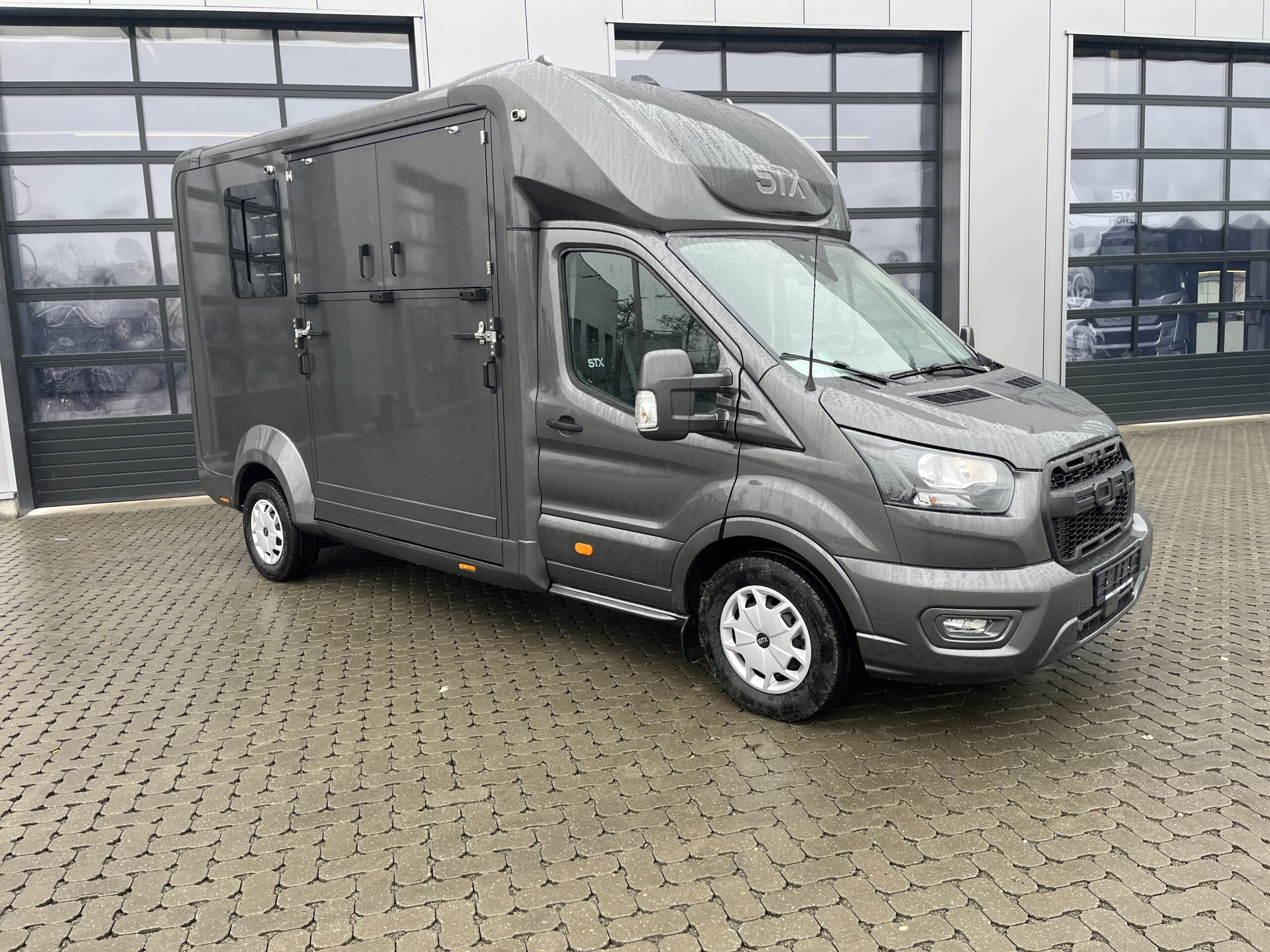 STX 2 HORSES Ford Transit 160 hp Automatic Stephex Horsetrucks