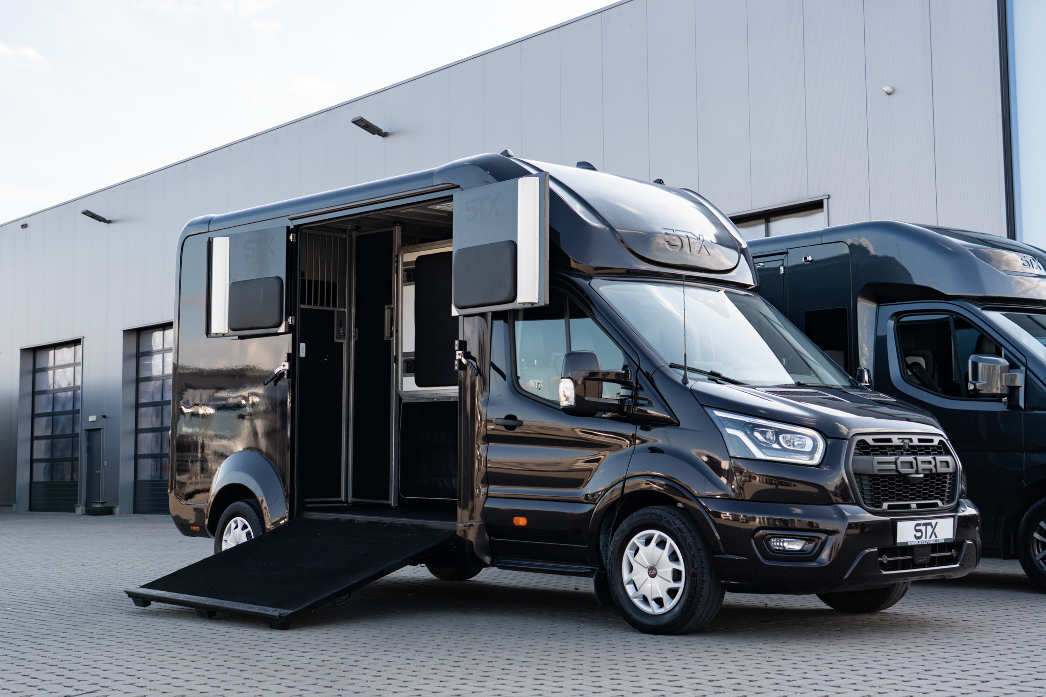 FOR SALE I Second-Hand STX 2 HORSE FORD TRANSIT I Stephex Horsetrucks