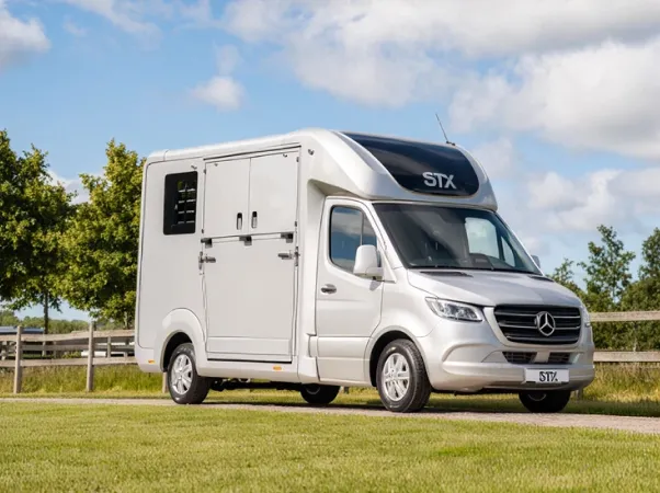 STX-2-horses-mercedes-sprinter